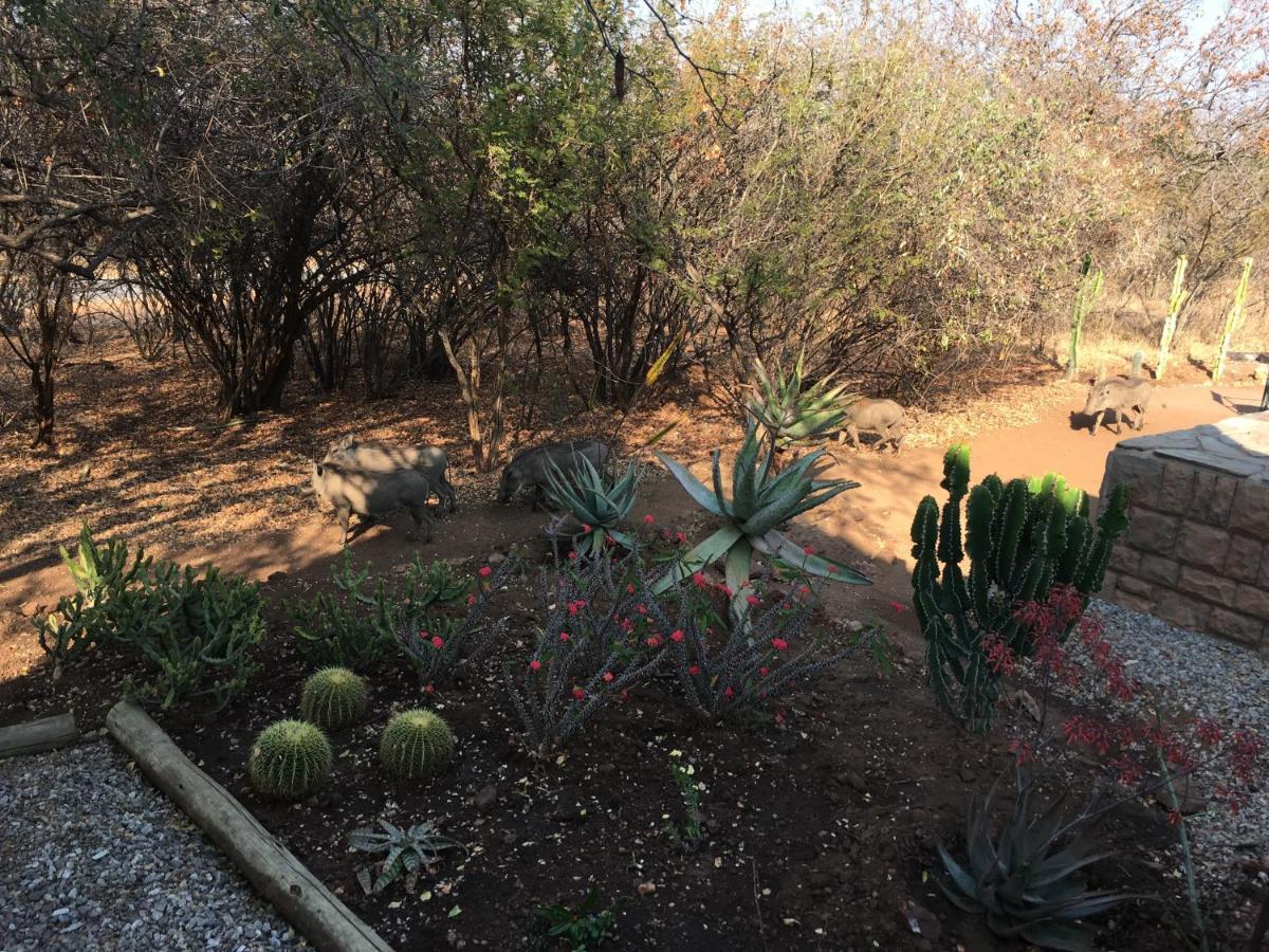 Giraffe Lodge Hoedspruit Ngoại thất bức ảnh