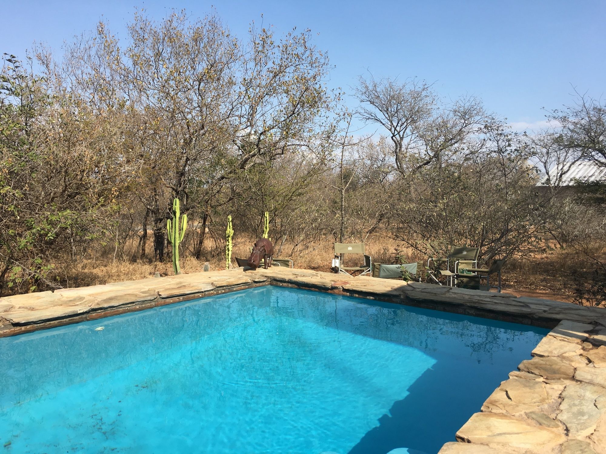 Giraffe Lodge Hoedspruit Ngoại thất bức ảnh